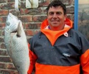 Pearly Beach versus Alpha